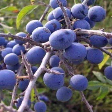 05fc7d9f-55b3-11f0-891a-246e9611e8f6-1