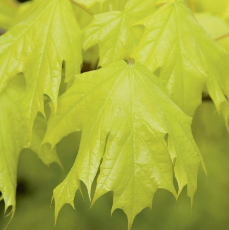 8a21ba3e-114b-11f0-8918-246e9611e8f6-1