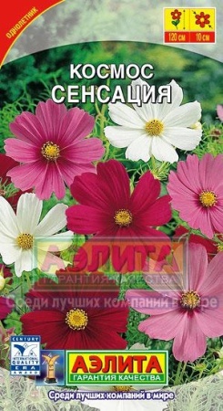 51a3c306-2b02-11e1-be7f-00500454e615-2