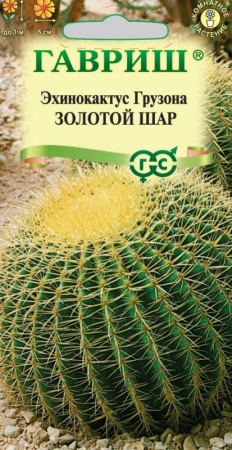 0664eb0b-e818-11ea-86cc-005056c00008-1