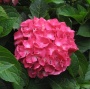 4573f03e-43aa-11e8-8910-005056c00008-1