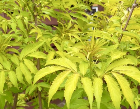 ed9d4b18-112f-11f0-8918-246e9611e8f6-1