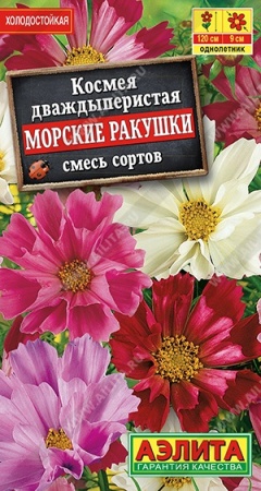 7d524d2d-dcea-11dd-9138-00500454e615-1