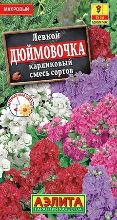 c3a3313b-228a-11df-8823-0019dbe91ea3-1