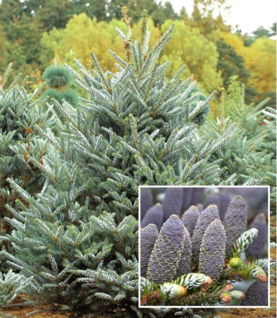 dd859ef4-d4de-11f0-891e-246e9611e8f6-1