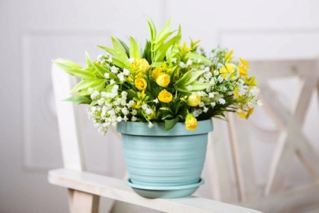 37309ad3-565c-11ed-aea3-001e673ebdea-1