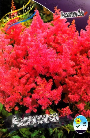 a8ce74bb-2c07-11df-8832-0019dbe91ea3-1