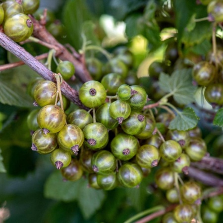 9a282a86-f094-11ed-88b6-001e673ebdea-1