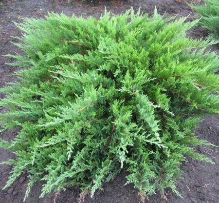 25dbfb9b-43cd-11e8-8910-005056c00008-1