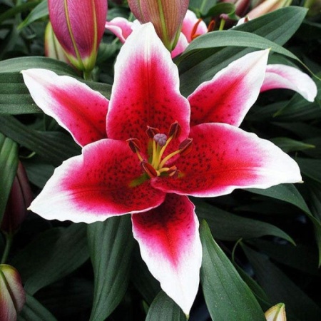 18376436-3390-11f1-8926-246e9611e8f6-1