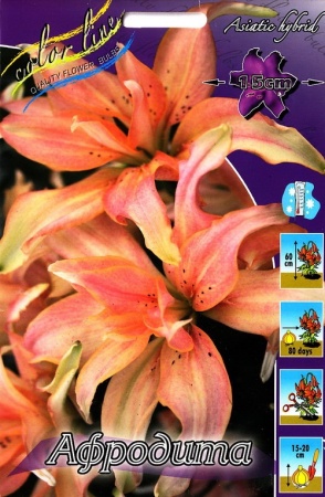 ab1d8265-715f-11ed-be6f-001e673ebdea-1