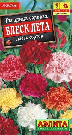 8c1d4d14-0ab5-11e2-9c64-00500454e615-1