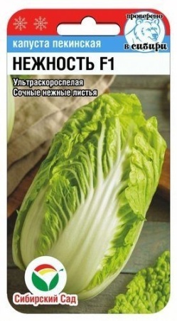 955ae314-b7c0-11e9-b0f0-005056c00008-1