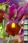 98f85f3b-5bb0-11ef-8910-246e9611e8f6-1