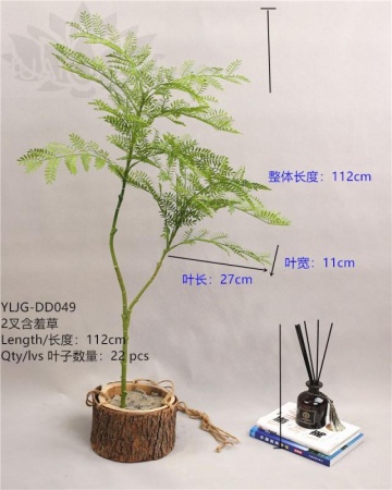 979d75e8-5a72-11f0-891b-246e9611e8f7-1