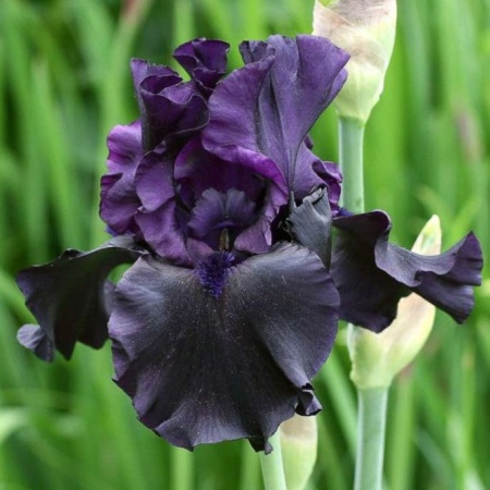 b59ae5a5-b0cc-11e3-aae1-001e673ebde8-1