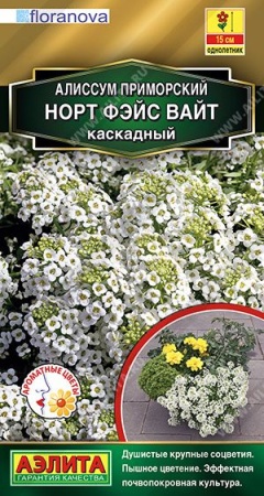db075654-9b9b-11f1-892e-246e9611e8f6-1