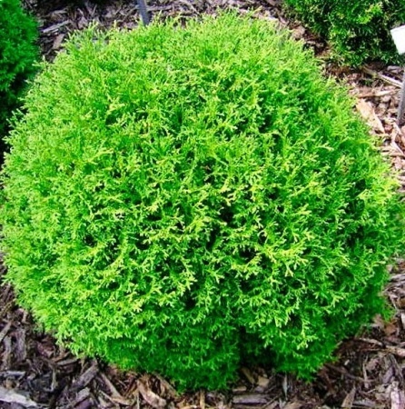 c465e427-dcde-11ed-97e3-001e673ebdea-1