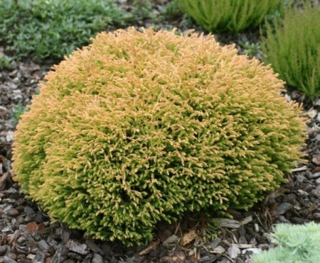 e8baa459-cfa6-11e4-9bdf-001e673ebdea-1