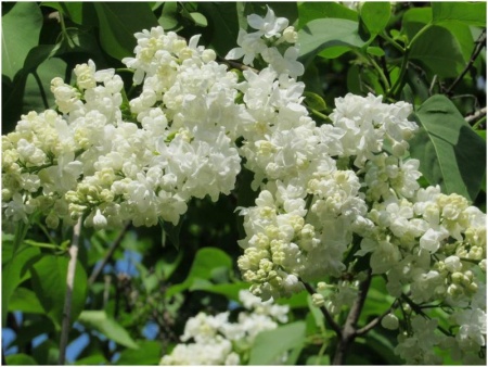 6a124efb-29ae-11f1-8926-246e9611e8f6-1