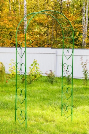 c7779db2-02ea-11ef-890b-246e9611e8f5-1