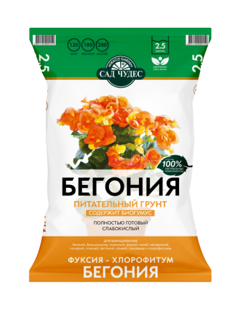 СЧ Бегония 2,5 л_D01