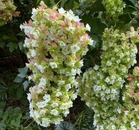 ef18625e-c1fb-11f0-891d-246e9611e8f7-1