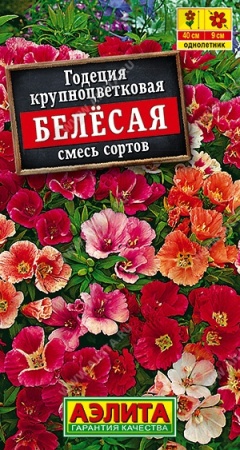 70f41b59-dcea-11dd-9138-00500454e615-1