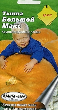 3da9f6da-e750-11e0-9ebd-00500454e615-2