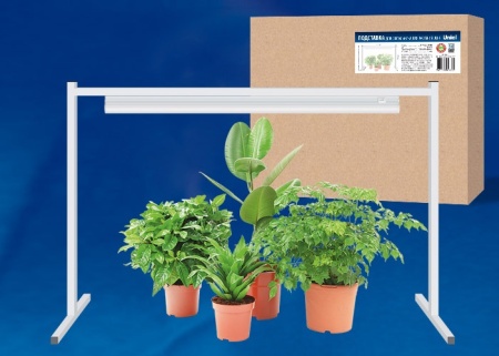 b5697905-8265-11eb-aff5-005056c00008-1