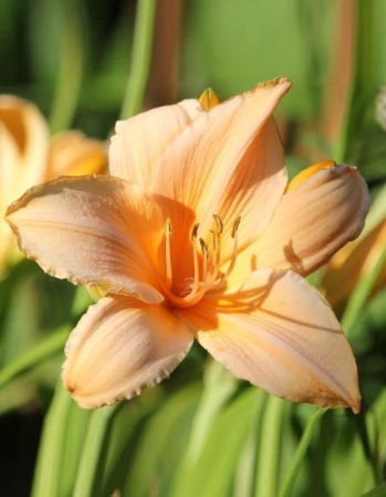 cc8dc2a4-000d-11f0-8915-246e9611e8f5-1