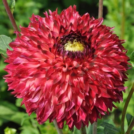 49bf2dae-dfc3-11ef-8915-246e9611e8f5-1