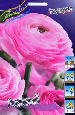 a6c1c2ce-ca4c-11e0-ab72-00500454e615-1