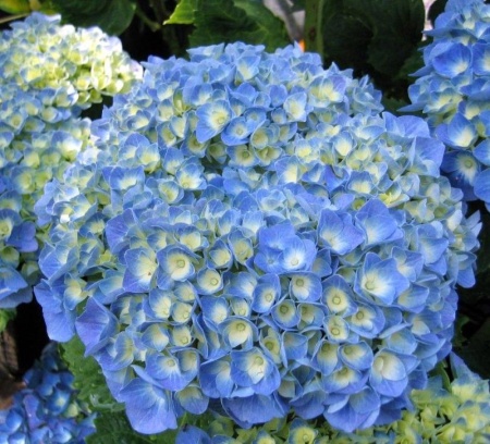 06761214-e08c-11ef-8915-246e9611e8f5-1