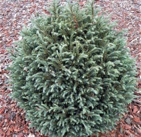 eddc72f1-cf9c-11e4-9bdf-001e673ebdea-1