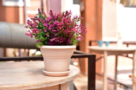 5dac49eb-56a8-11ed-aea3-001e673ebdea-1