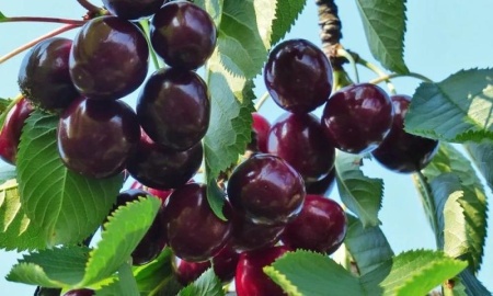 7be7ce08-f11c-11f0-8920-246e9611e8f7-1