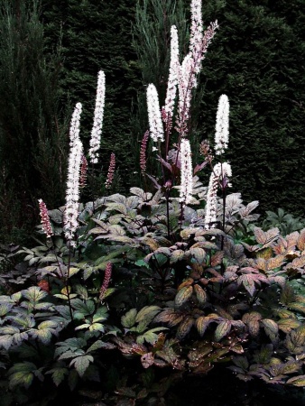 990c33a3-2dd0-11e8-a7ea-005056c00008-1