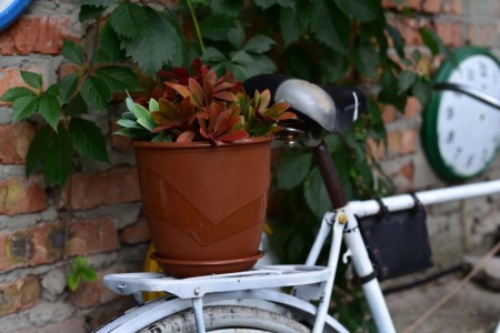 be7d2436-5750-11ed-aea3-001e673ebdea-1