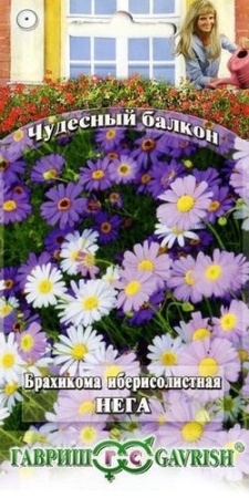 72a1f3c9-e295-11df-b975-0019dbe91ea3-2