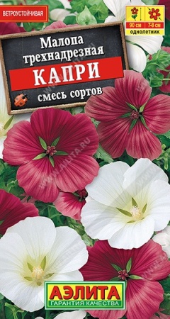 6e19870d-4db4-11e3-8a92-00500454e615-1