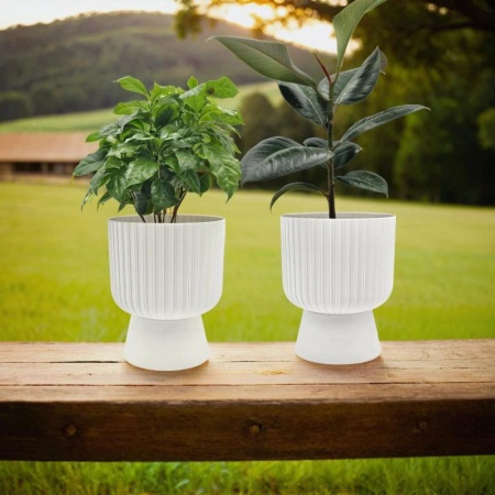 c36f6b96-5656-11f0-891a-246e9611e8f6-1