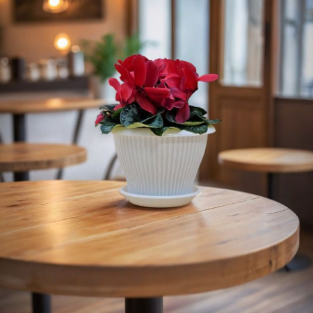 5bb751b0-574d-11ed-aea3-001e673ebdea-1