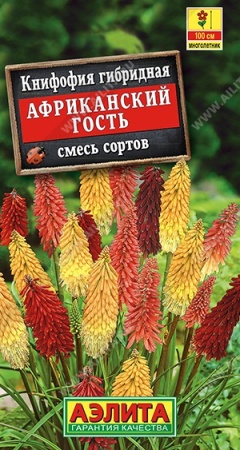 24cbcec2-f3c2-11e7-b46d-005056c00008-1