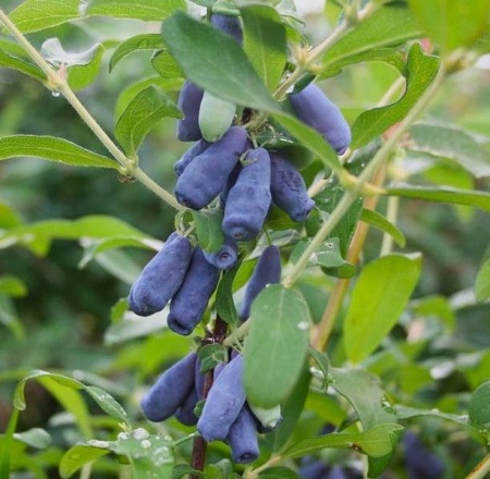 bacf95d3-b8bc-11f0-891d-246e9611e8f7-1