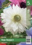 65c7af8e-5bb3-11ef-8910-246e9611e8f6-1