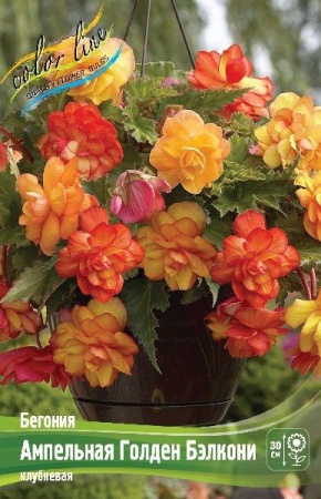 94e63964-679b-11ed-bd4c-001e673ebdea-1