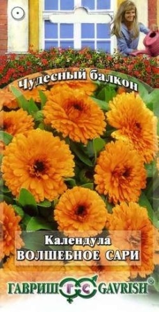 f4a8ca2d-e2a1-11df-b975-0019dbe91ea3-2