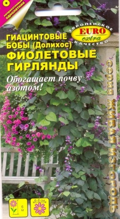 7ef1e38a-4683-11e2-bff7-00500454e615-1