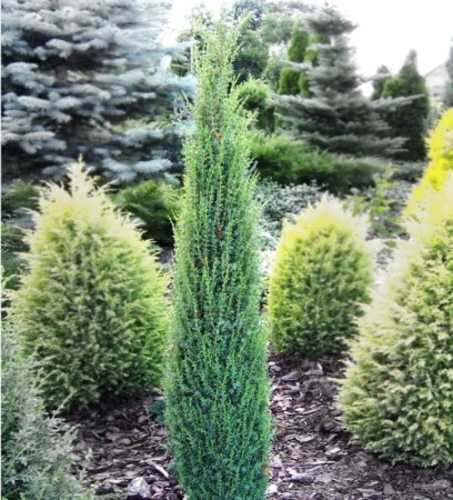 4c5c6bd8-64e4-11e9-9098-005056c00008-1